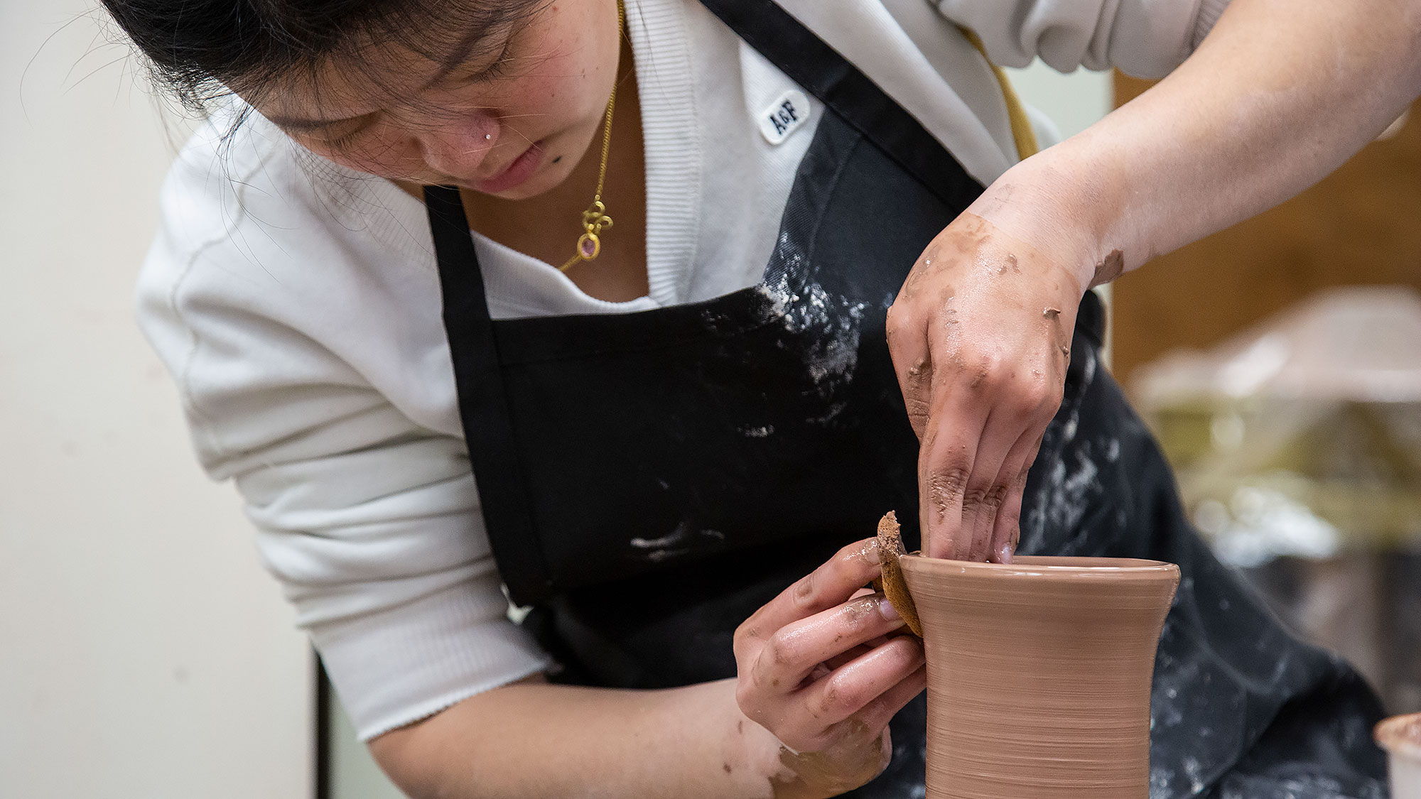Ceramics Program Bachelors in Art Degree Carlow University