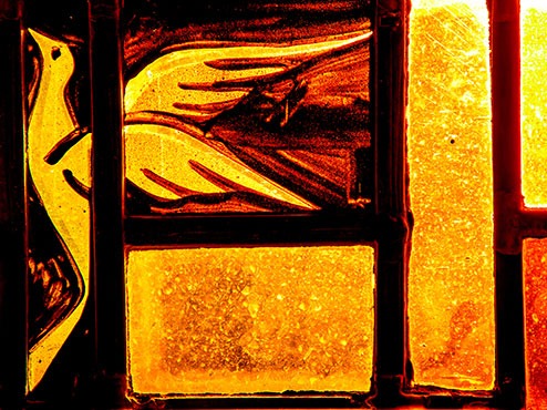 Stained glass window of a dove, gold in color.