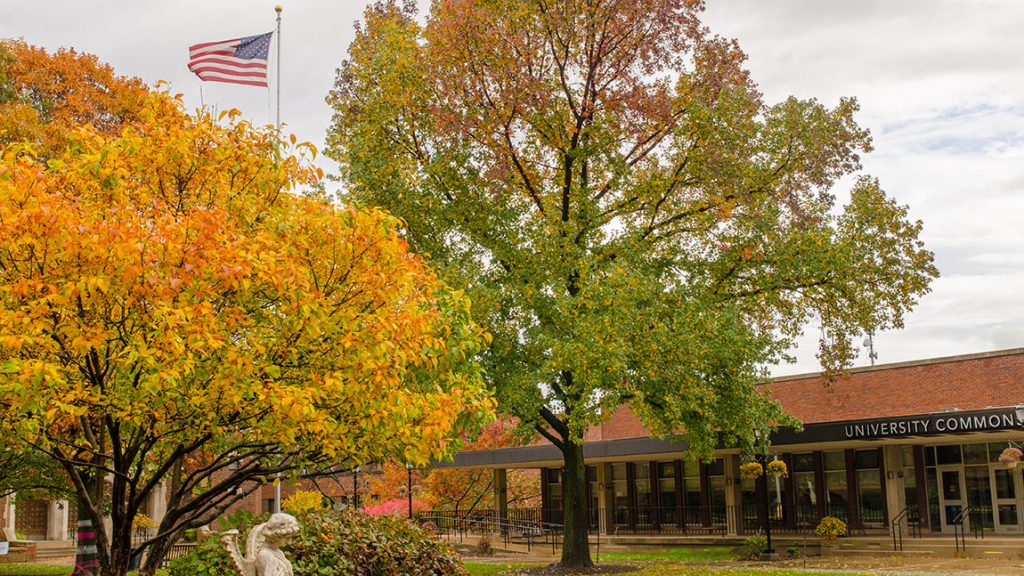 Trees show off their fall splendor on the Campus Green outside of University Commons.