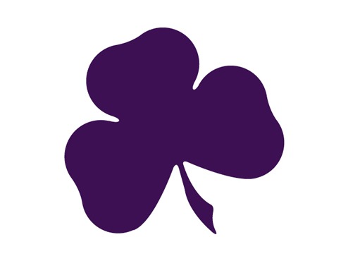 Purple shamrock