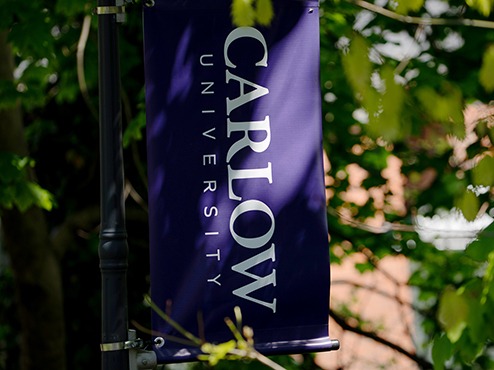 A Carlow banner hanging near a tree.