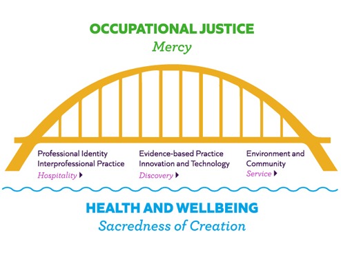 Bridge illustration diagramming occupational therapy's curriculum