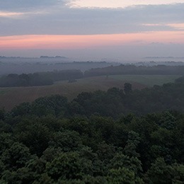 Office of the President