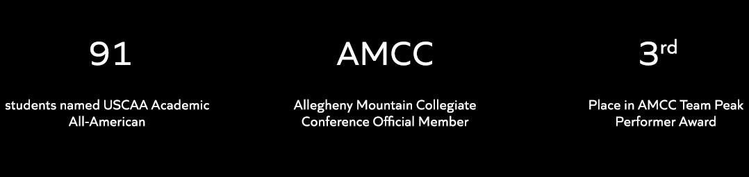 Infographic showing undergraduate student profile statistics