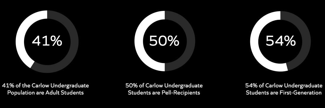 Infographic showing undergraduate student profile statistics