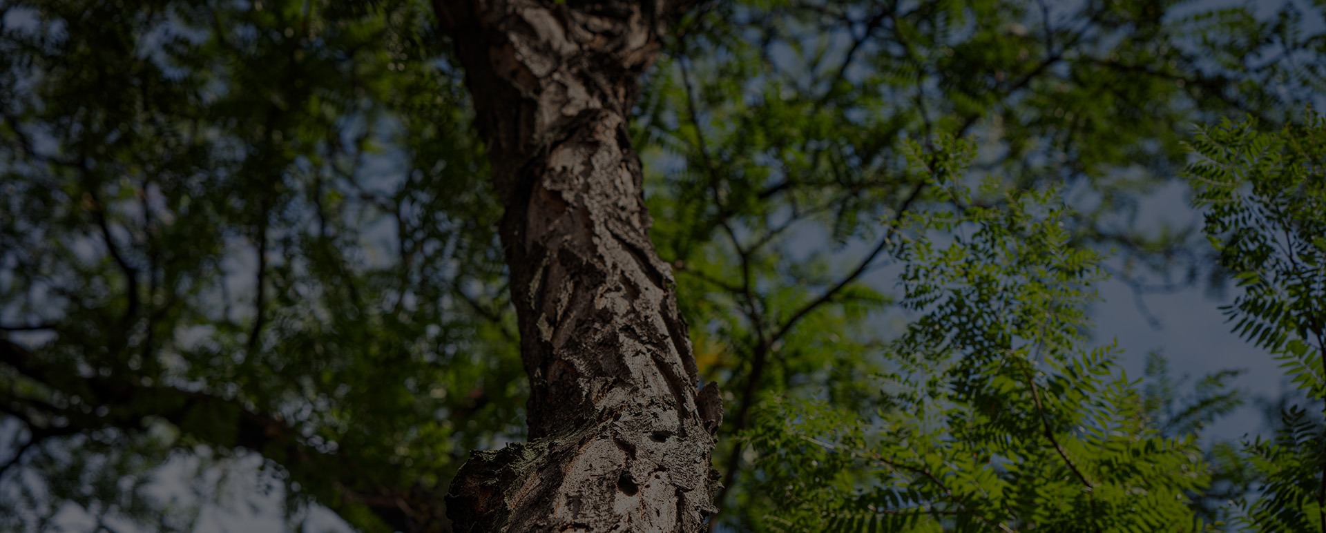 St. Joseph Hall Fitness Center