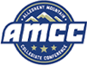 Allegheny Mountain Collegiate Conference
